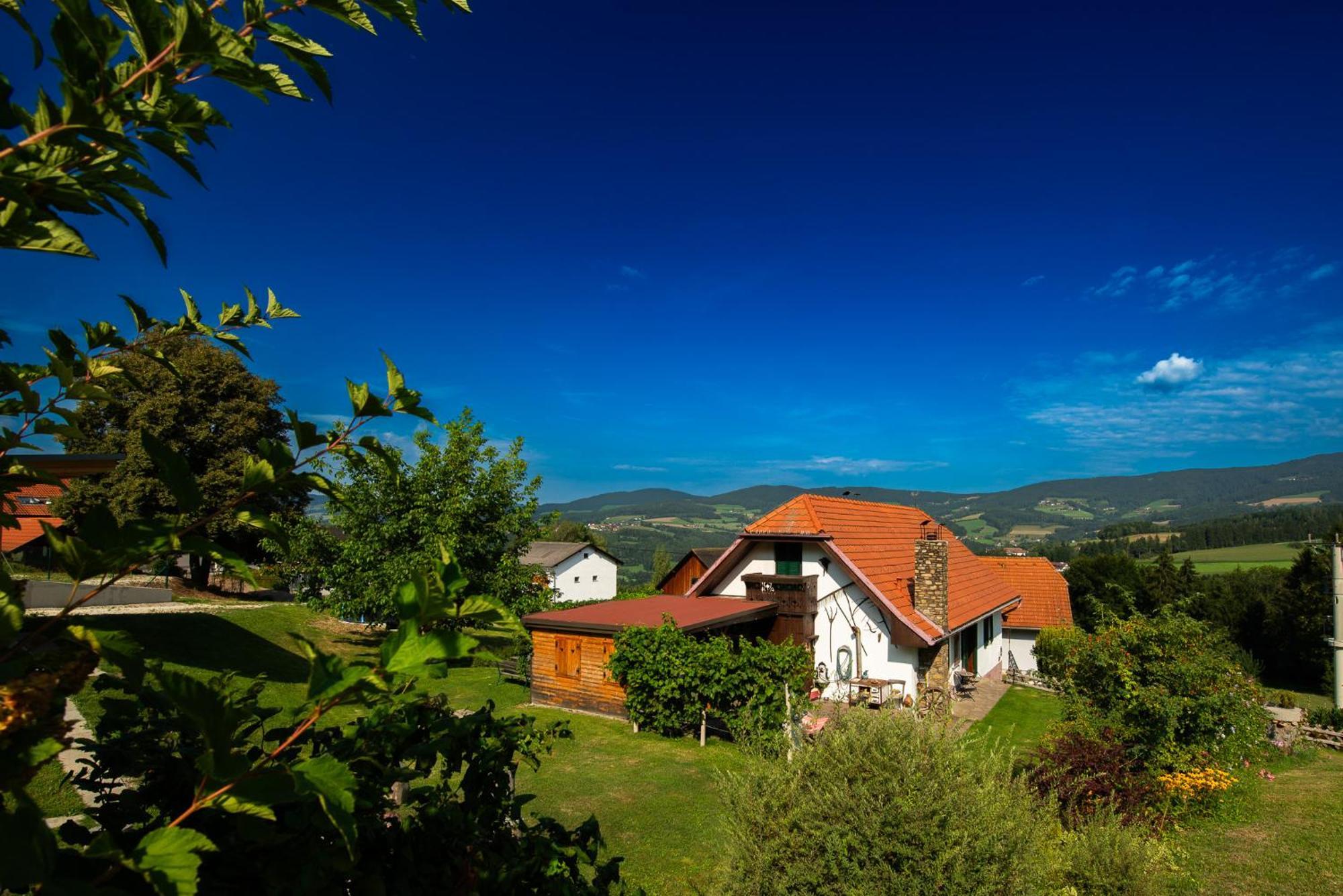 Ferienhaus Mooshoef Pollauberg ภายนอก รูปภาพ